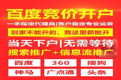 SEM推广实战：案例分析及效果评估