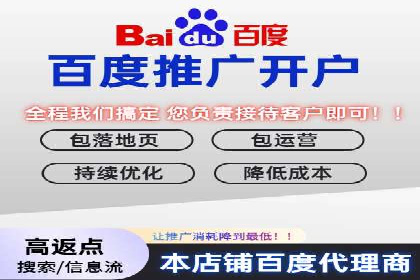 竞价广告在XX行业的成功应用案例